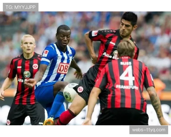 为应对极端天气，多个法甲主场检查并升级排水系统